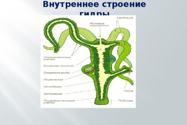 Удалился аккаунт кракен