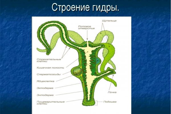 Зайти на кракен тор