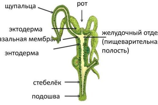 Кракен нрк