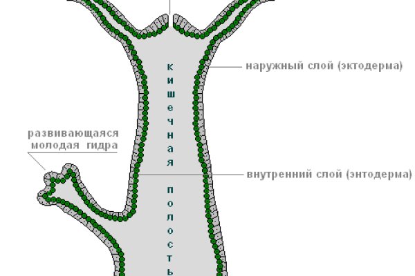 Кракен kr2web in маркетплейс ссылка